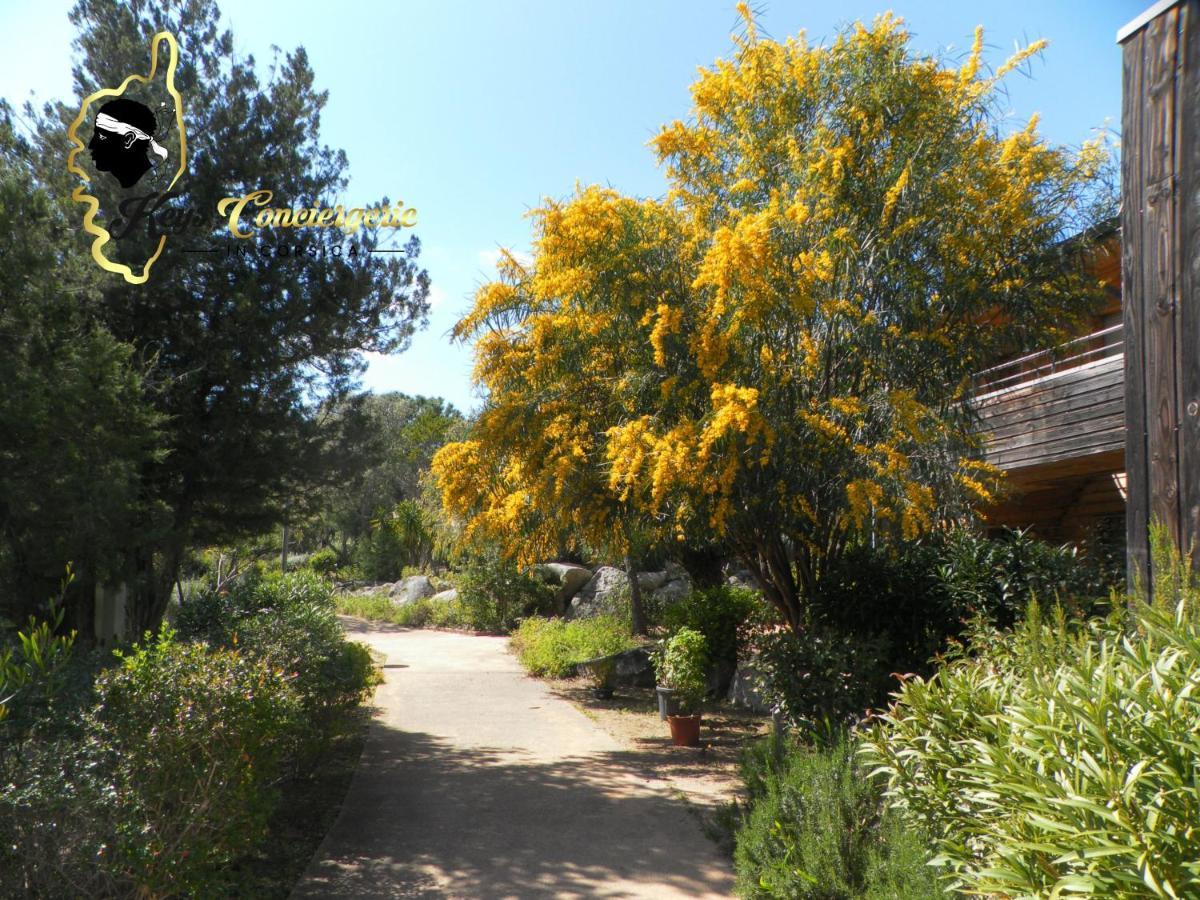 Residence Cala Sultana N62 - 4 Pers Avec Piscine Chauffee- Acces Prive A La Plage De Santa Giulia Porto-Vecchio  Eksteriør billede